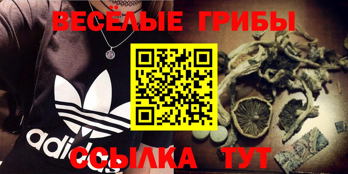 Галлюциногенные грибы ЛСД  Вход с VPN  Истра 