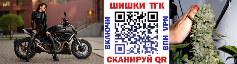 купить   Истра  Каннабис индика 